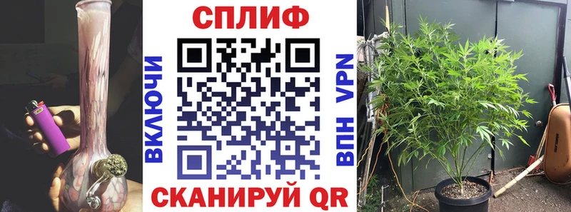 Все наркотики Завитинск гидра онион  Меф  Гашиш  Бошки Шишки  A-PVP 