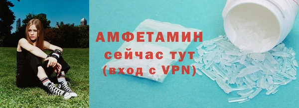 сатива Гусев