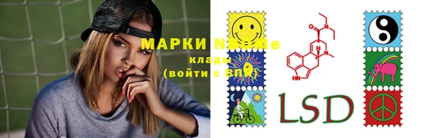 сатива Гусев
