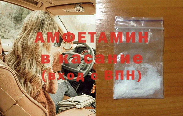 сатива Гусев