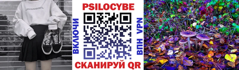 Галлюциногенные грибы GOLDEN TEACHER Завитинск