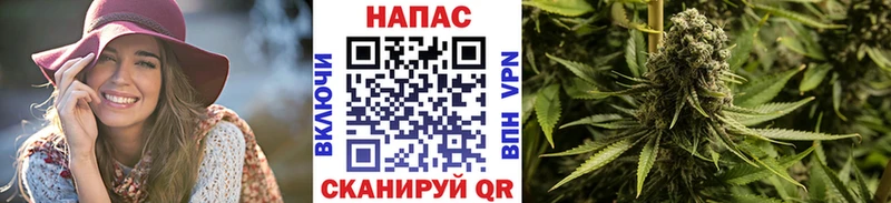 ссылка на мегу ССЫЛКА  Завитинск  Каннабис ГИДРОПОН 